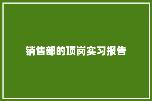 销售部的顶岗实习报告