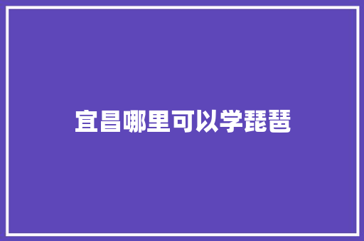 宜昌哪里可以学琵琶