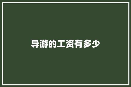 导游的工资有多少 报告写作