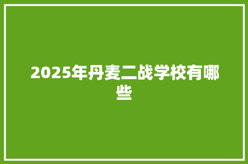 2025年丹麦二战学校有哪些