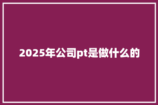 2025年公司pt是做什么的