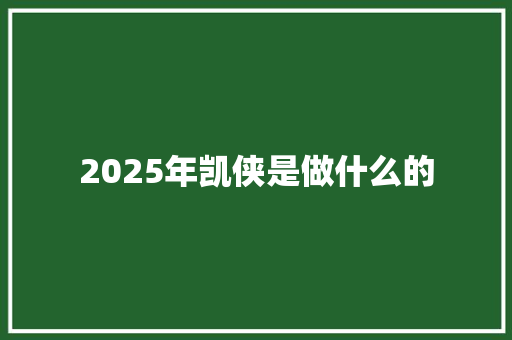 2025年凯侠是做什么的