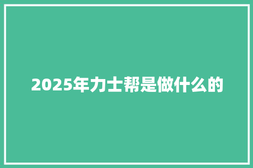 2025年力士帮是做什么的