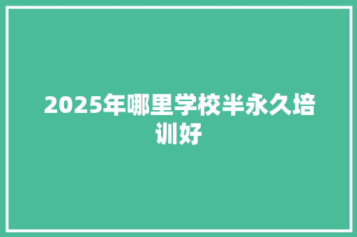 2025年哪里学校半永久培训好