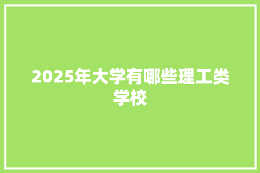 2025年大学有哪些理工类学校 报告写作