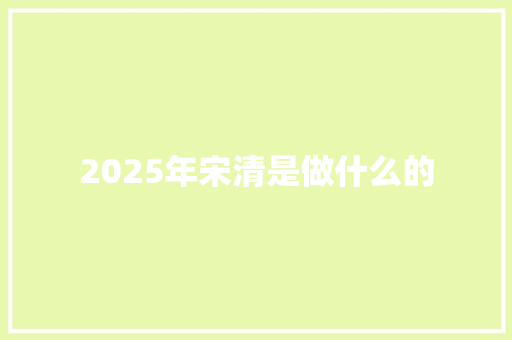 2025年宋清是做什么的 写作素材