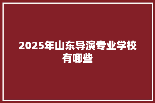 2025年山东导演专业学校有哪些