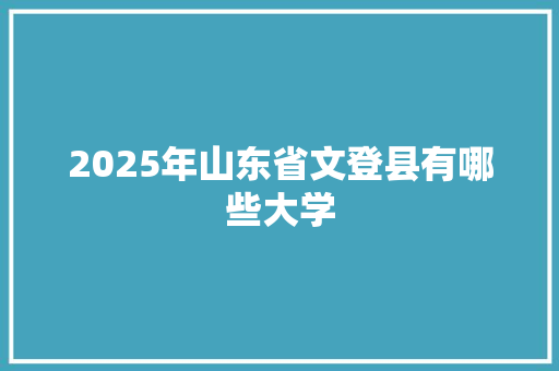 2025年山东省文登县有哪些大学