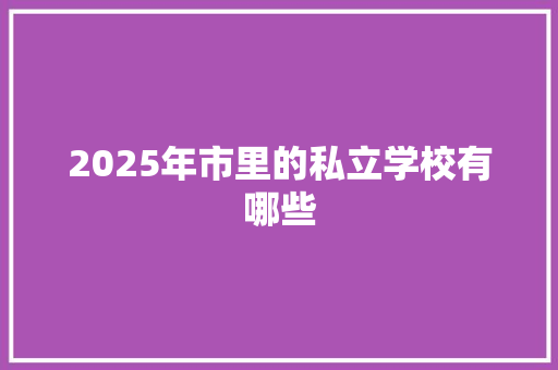 2025年市里的私立学校有哪些