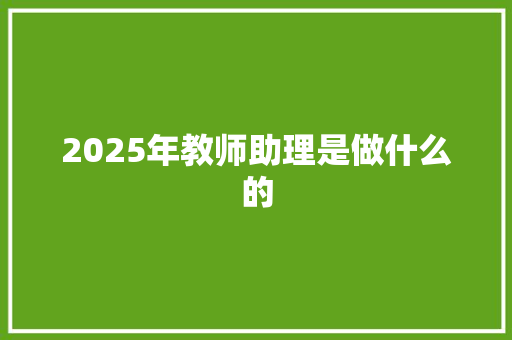 2025年教师助理是做什么的