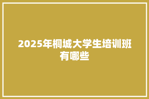 2025年桐城大学生培训班有哪些