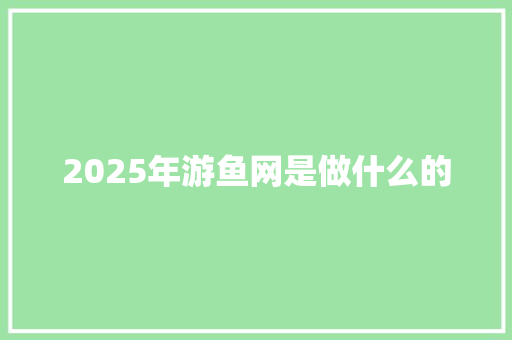2025年游鱼网是做什么的