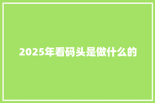 2025年看码头是做什么的