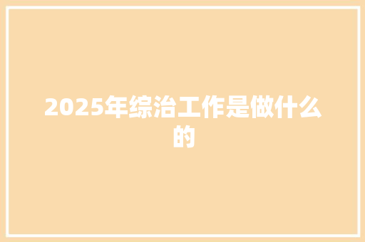 2025年综治工作是做什么的