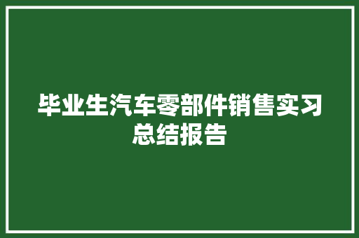 毕业生汽车零部件销售实习总结报告
