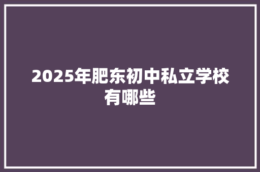 2025年肥东初中私立学校有哪些