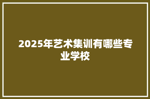 2025年艺术集训有哪些专业学校