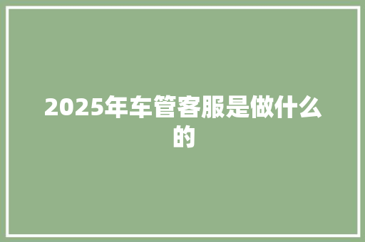 2025年车管客服是做什么的