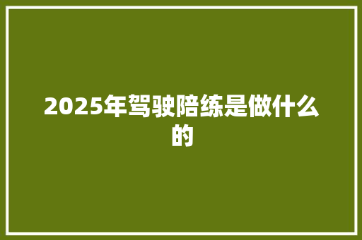 2025年驾驶陪练是做什么的