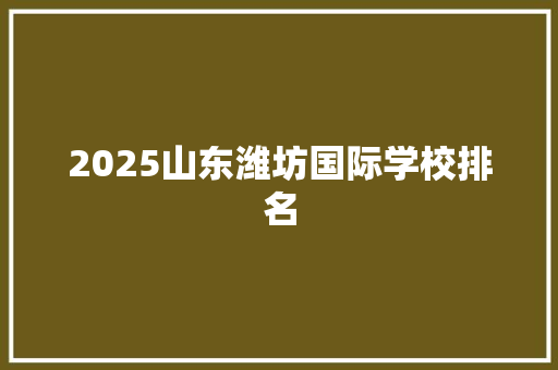 2025山东潍坊国际学校排名
