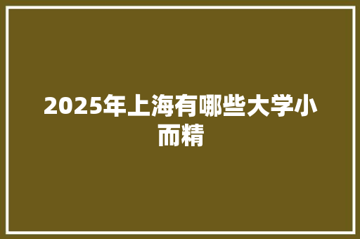 2025年上海有哪些大学小而精