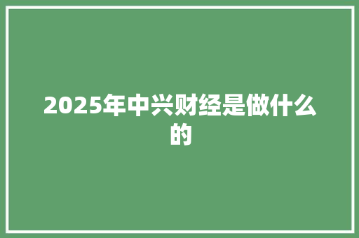 2025年中兴财经是做什么的