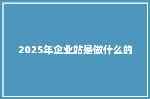 2025年企业站是做什么的
