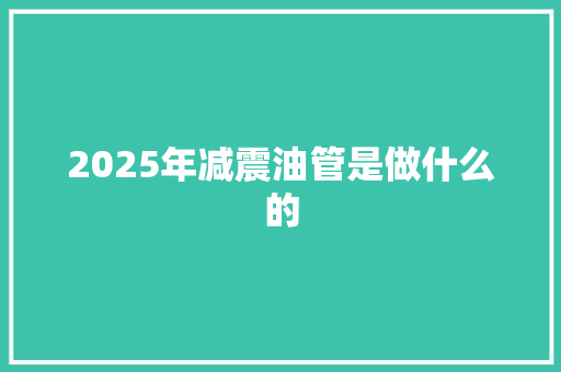 2025年减震油管是做什么的