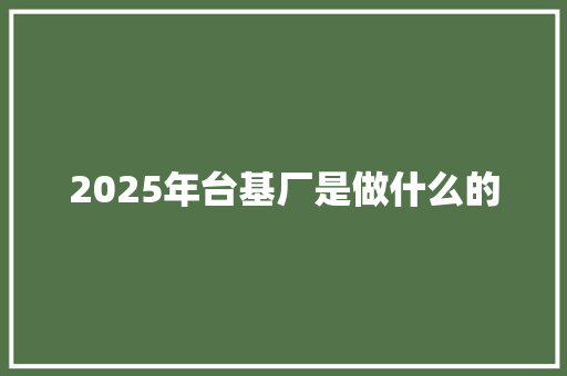2025年台基厂是做什么的