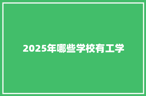 2025年哪些学校有工学