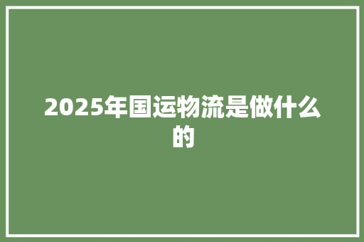 2025年国运物流是做什么的