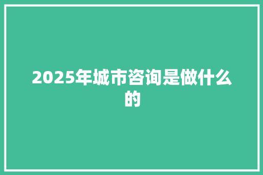 2025年城市咨询是做什么的