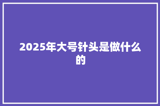 2025年大号针头是做什么的