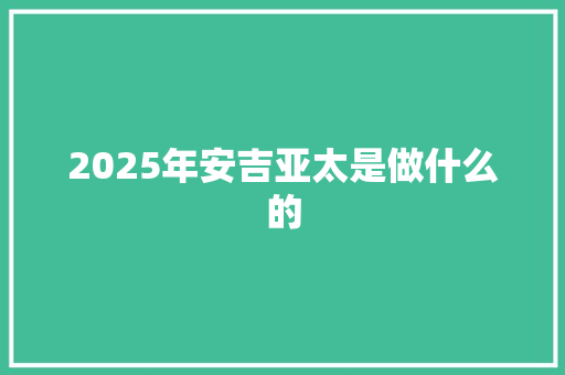 2025年安吉亚太是做什么的
