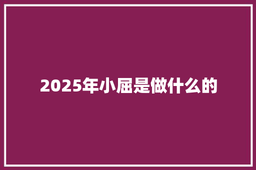 2025年小屈是做什么的