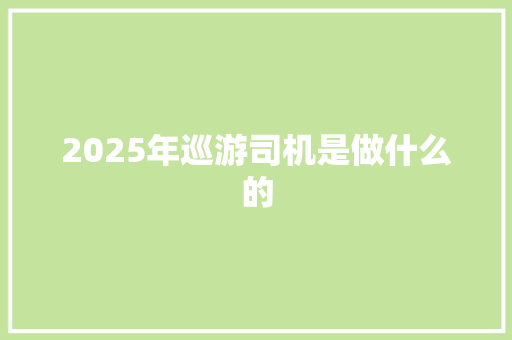2025年巡游司机是做什么的