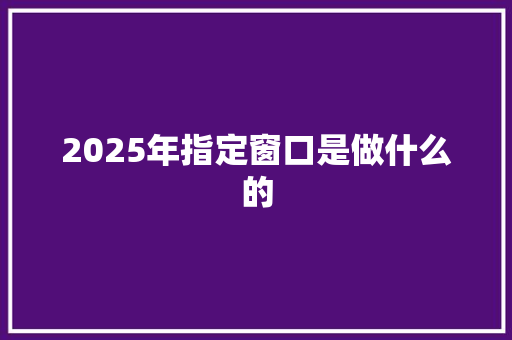 2025年指定窗口是做什么的