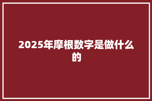 2025年摩根数字是做什么的