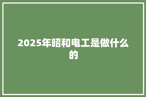 2025年昭和电工是做什么的