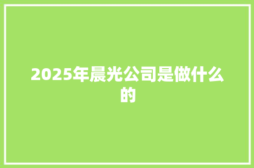 2025年晨光公司是做什么的
