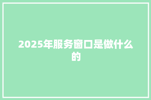 2025年服务窗口是做什么的