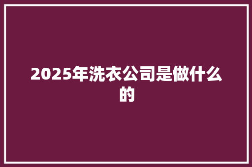 2025年洗衣公司是做什么的