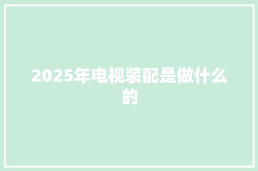 2025年电视装配是做什么的