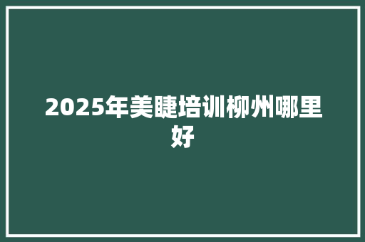 2025年美睫培训柳州哪里好