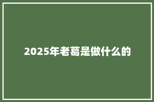 2025年老葛是做什么的