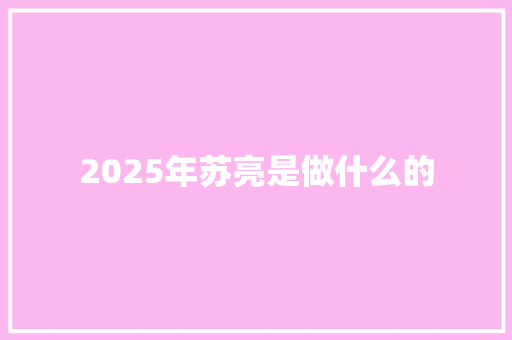 2025年苏亮是做什么的