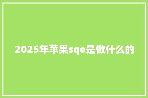 2025年苹果sqe是做什么的