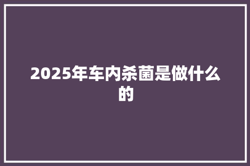 2025年车内杀菌是做什么的