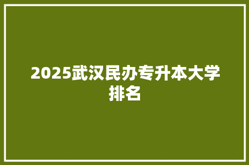 2025武汉民办专升本大学排名
