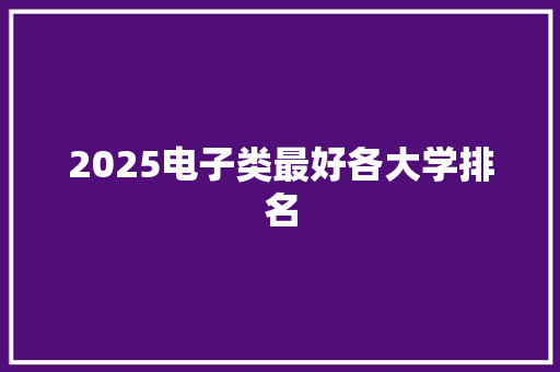 2025电子类最好各大学排名